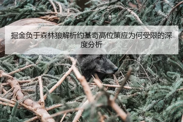 掘金负于森林狼解析约基奇高位策应为何受限的深度分析