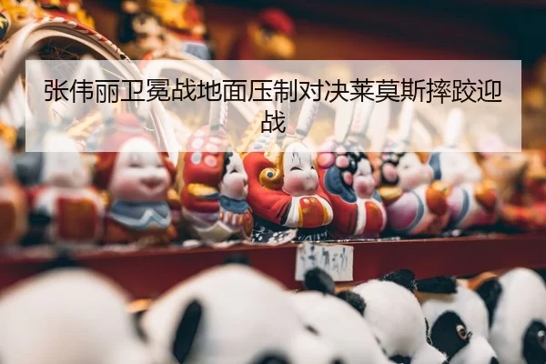 zhang-wei-li-wei-mian-zhan-di-mian-ya-zhi-dui-jue-lai-mo-si-shuai-jiao-ying-zhan-3-918.jpg
