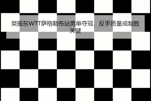 樊振东WTT萨格勒布站男单夺冠，反手质量成制胜关键