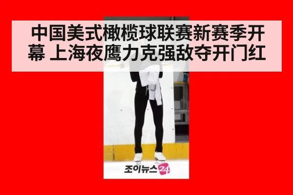 中国美式橄榄球联赛新赛季开幕 上海夜鹰力克强敌夺开门红